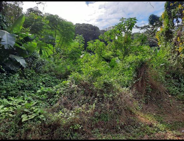 LAND FOR SALE IN LEISURE BAY